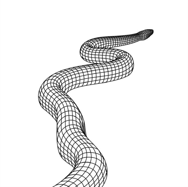 A mesh in the shape of a snake slithering