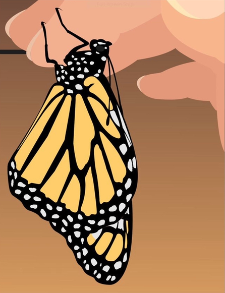 A digital drawing of a close up of monarch butterfly hanging off a hand